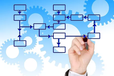 Organizational Structure of Our Company